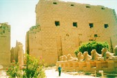 Карнакский храм, аллея сфинксов, Луксор